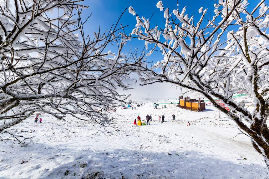 ɽ^ybعһɱLz