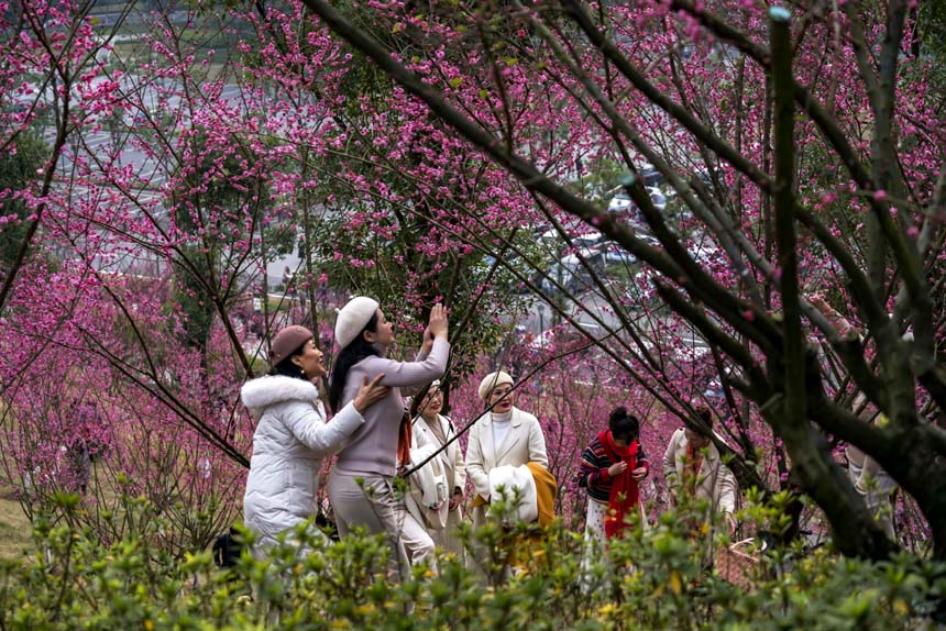 ظ蘷ɽʰAɽ÷Rɻο͠ӰSMz