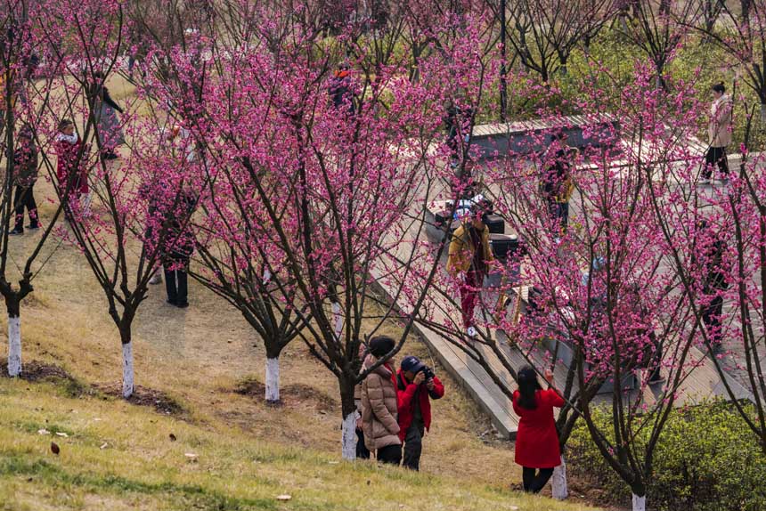 R蘷ɽȻ`ŵļt÷ɞpһȥ̎SMz