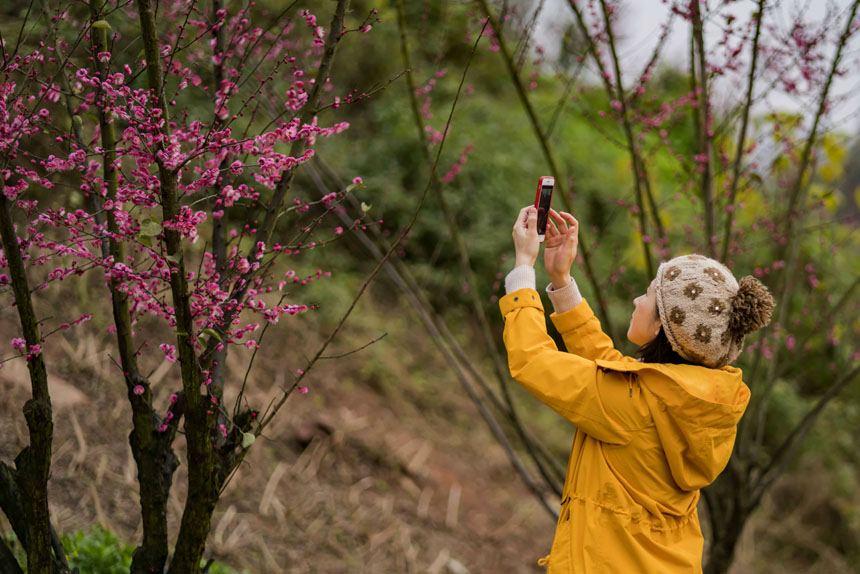 ο֙CӛRĴܶÕrSMz