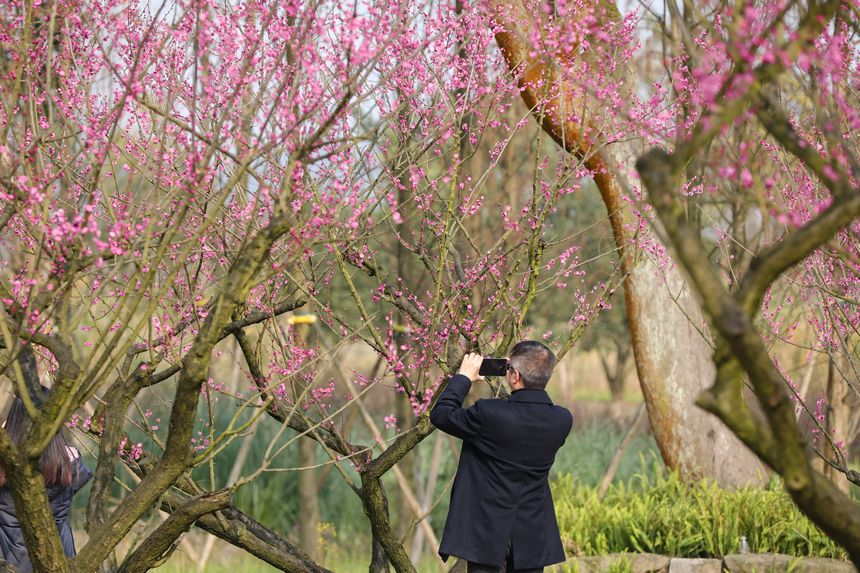 Vꖍu÷`o򴺁ؑc_^D