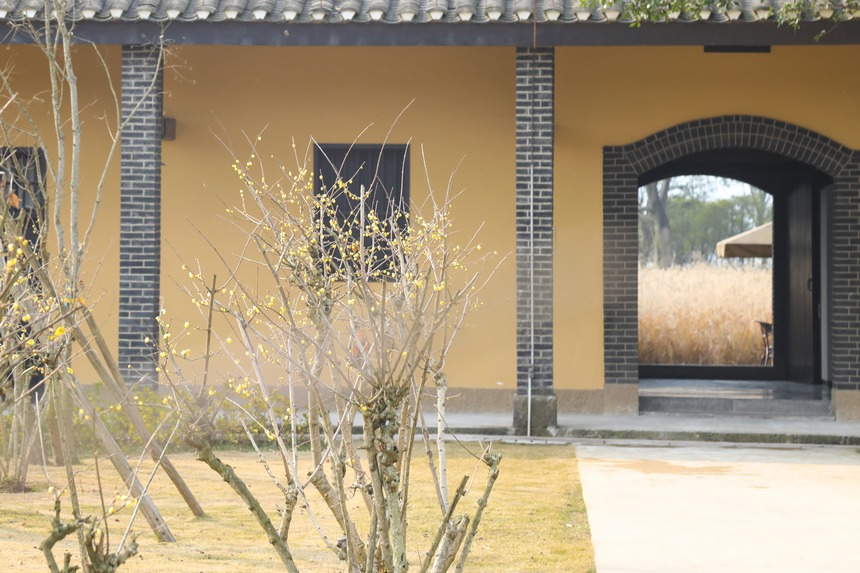 Vꖍu÷`o򴺁ؑc_^D