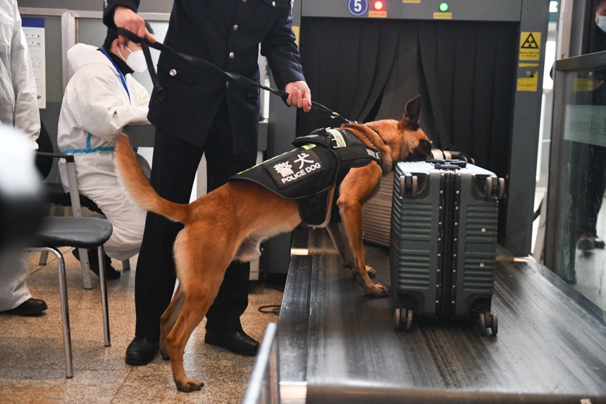 ؑcF·̎ľȮؑcվVѱ_\ȫuz