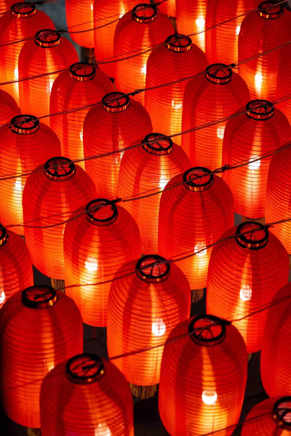 ؑcʮ݂yLò^ĸNĻz