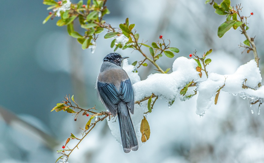 ؑcϴ^ɽƺ悏RδĔzĺ^z