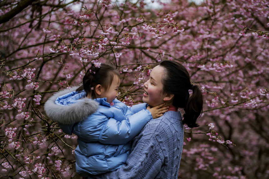 ɽֲ@ѻ`οǰ^pSMz