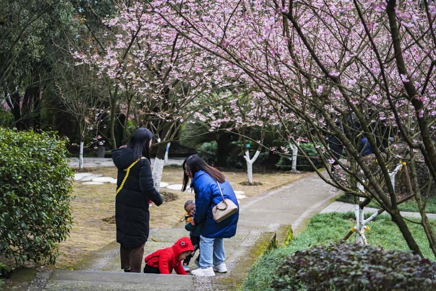 ɽֲ@ѻ`οǰ^pSMz