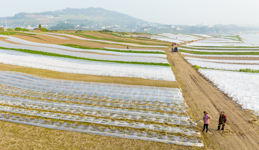 ؑcϴдץrr_չNoؔz