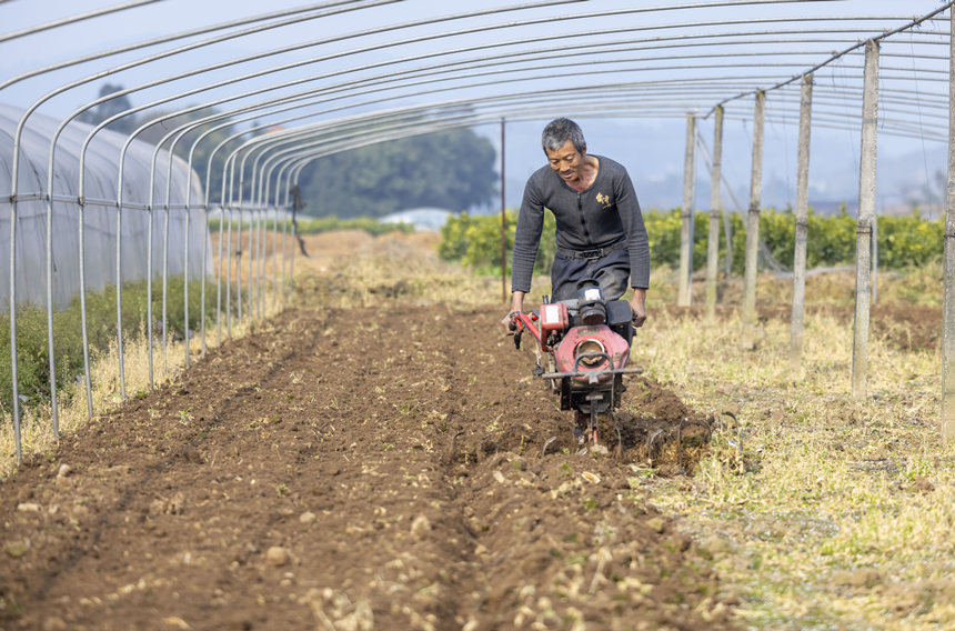 ؑcϴдץrr_չNoؔz