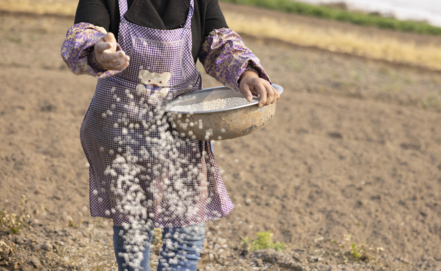 ؑcϴдץrr_չNoؔz