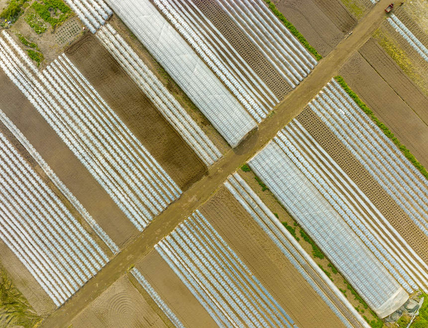 ؑcϴдץrr_չNoؔz