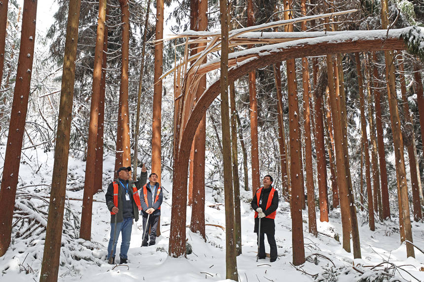 3oֆT鿴eѩĘľwz