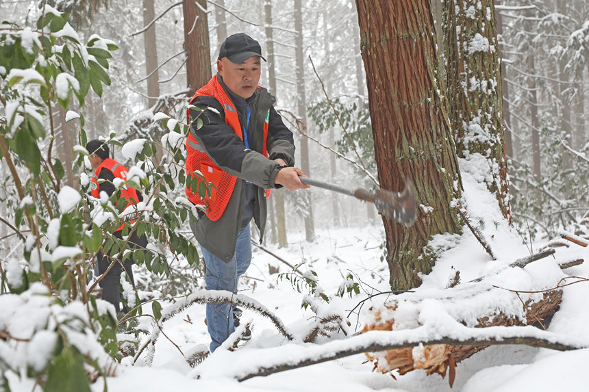 ȽСڲ鿴ľܓprwz