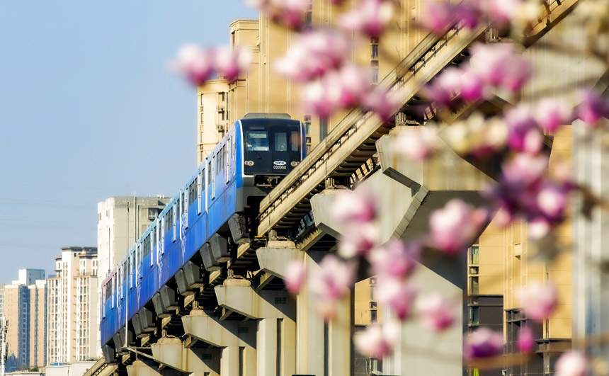 p܉܇ڻСԽһĴ쮋oؔz