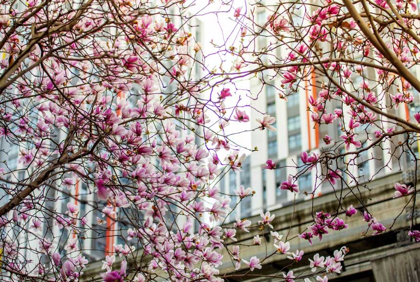 _M֦^m鴺һĨ`ӵĴɫoؔz