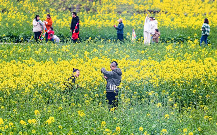 οؑcϴ^|ǽֵ^̤pz