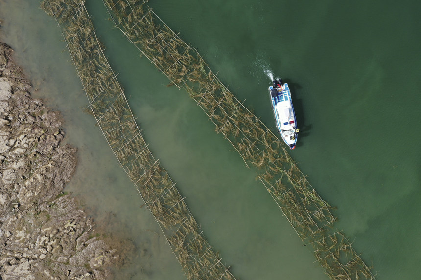 o~꠆TڬFѲ鲢Ɠp~Mмrޏ͢z