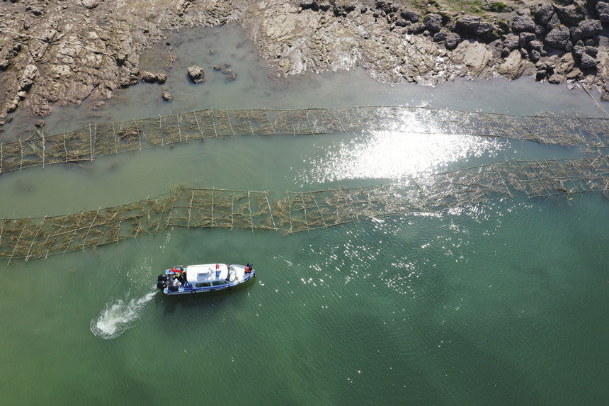 o~꠆TڬFѲ鲢Ɠp~Mмrޏ͢z