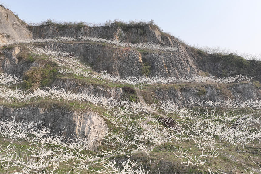 ؑcбՅ^o^A塰Vɽ@͢z