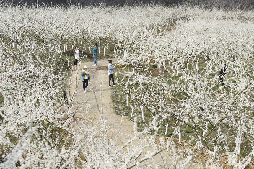 ؑcбՅ^o^A塰Vɽ@̤p͢z