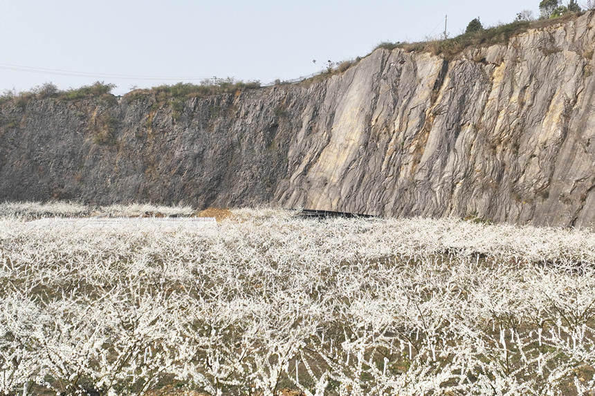 ؑcбՅ^o^A塰Vɽ@͢z