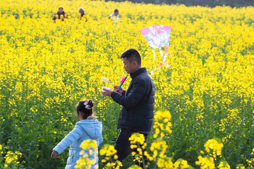 οؑcϴ^|ǽֵ^Ͳ˻pz