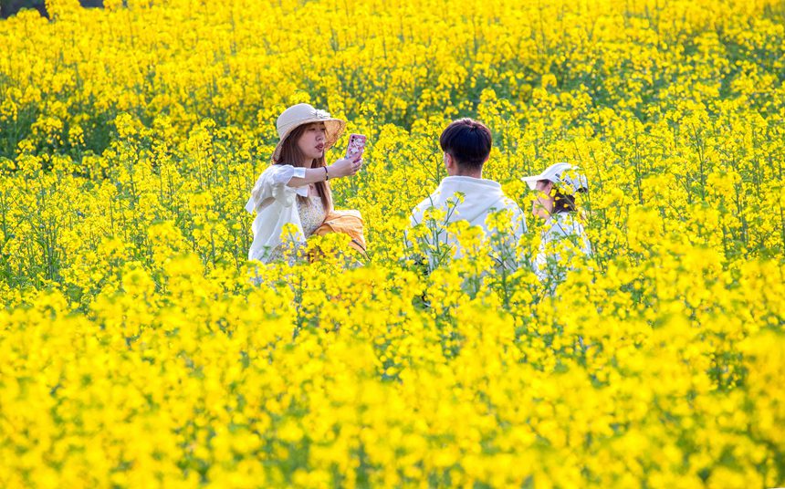 οؑcϴ^|ǽֵ^Ͳ˻pz