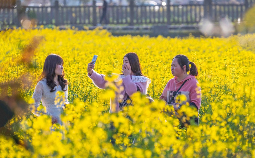 οؑcϴ^|ǽֵ^Ͳ˻pz