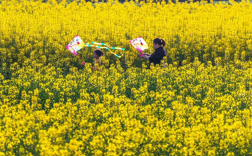 οؑcϴ^|ǽֵ^Ͳ˻pz