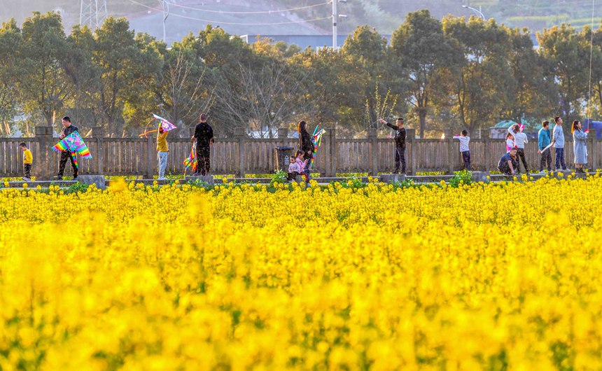 οؑcϴ^|ǽֵ^Ͳ˻pz