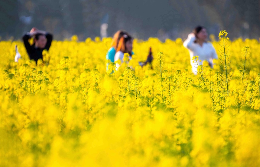 οؑcϴ^|ǽֵ^Ͳ˻pz