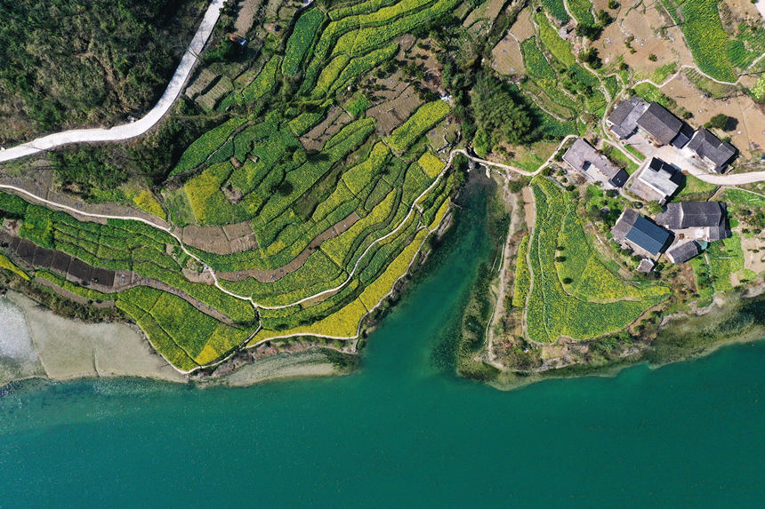 ؑcǭ^悴ƺ尢ϵLz