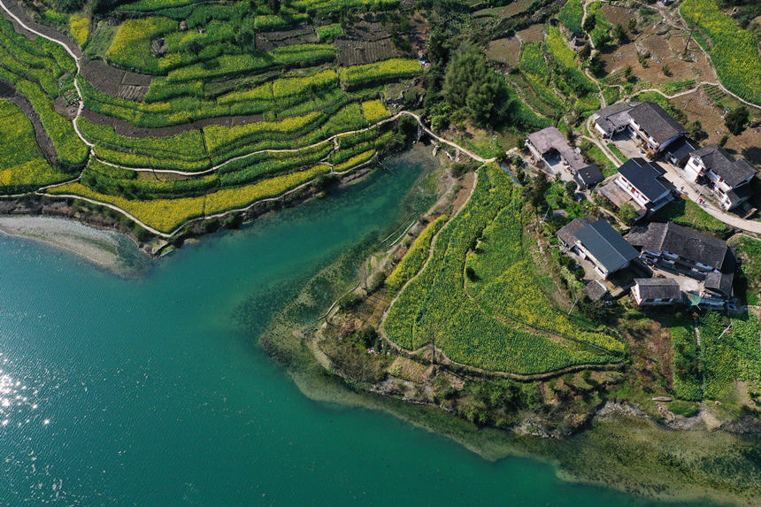 ؑcǭ^悴ƺ尢ϵLz