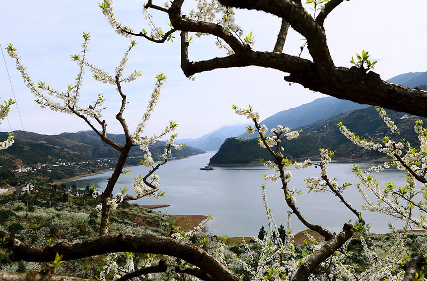 ؑcɽhlf஀ʢ_Rȑcz