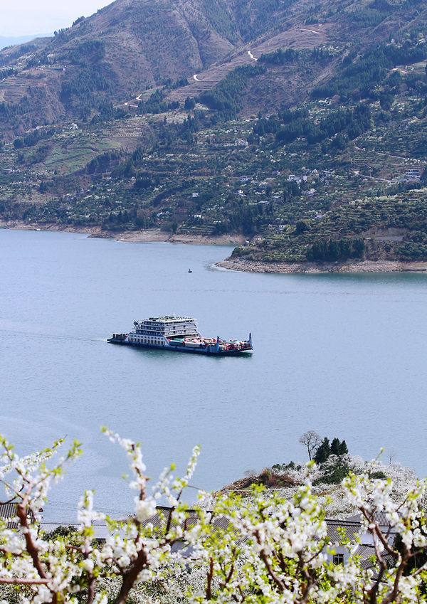 ؑcɽhlf஀ʢ_Rȑcz