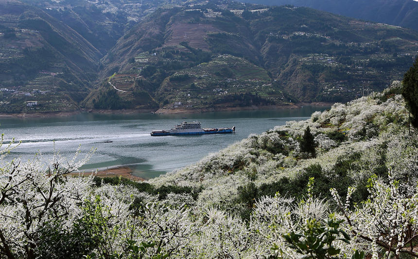 ؑcɽhlf஀ʢ_Rȑcz