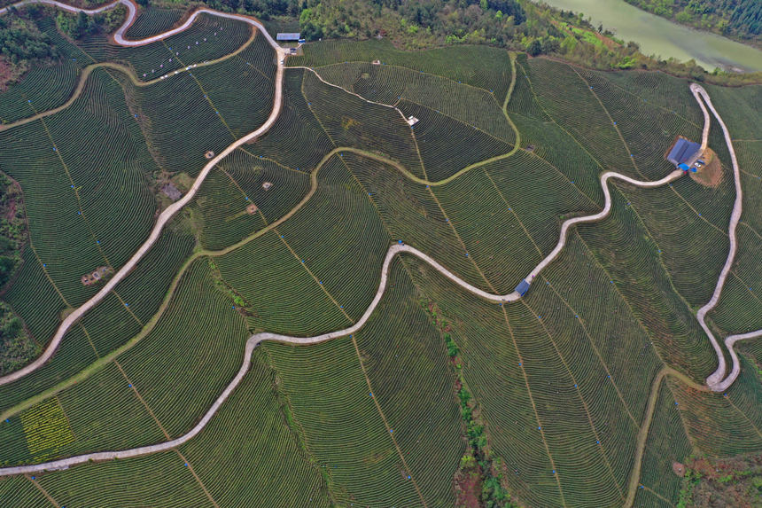 µؑcˮοh悲@箋wz