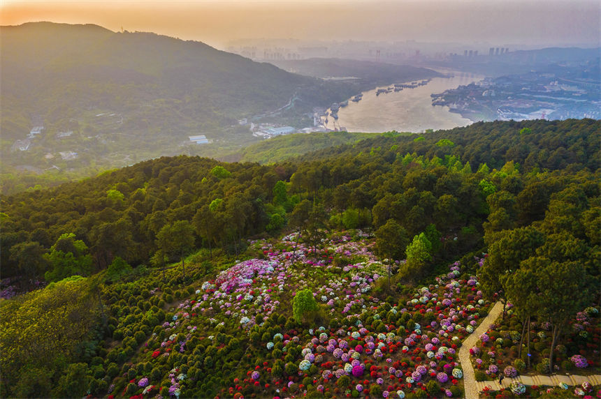 ÿ34ؑcϰ^ţдƬĶNaʢ_z