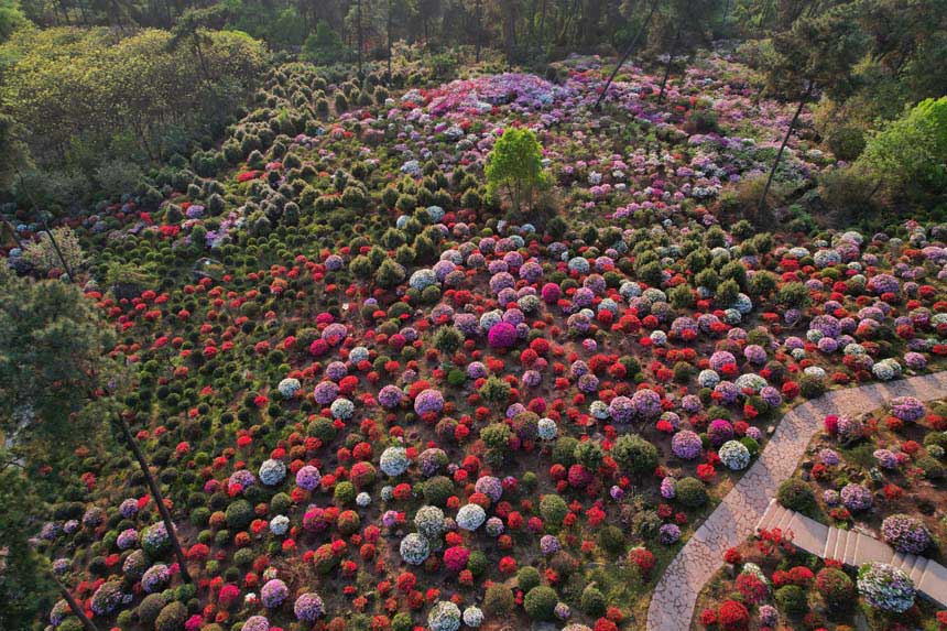 һش͵ĶNһɫĴĢHЩGҰۙζz