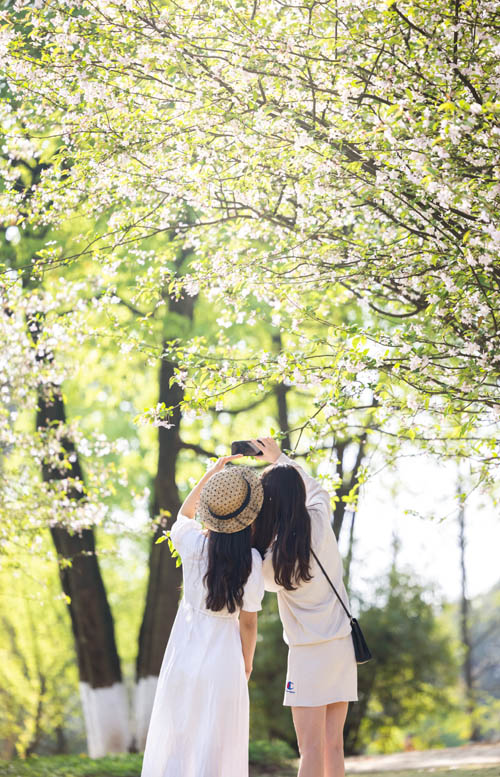 οؑcFɽƺɭֹ@pz