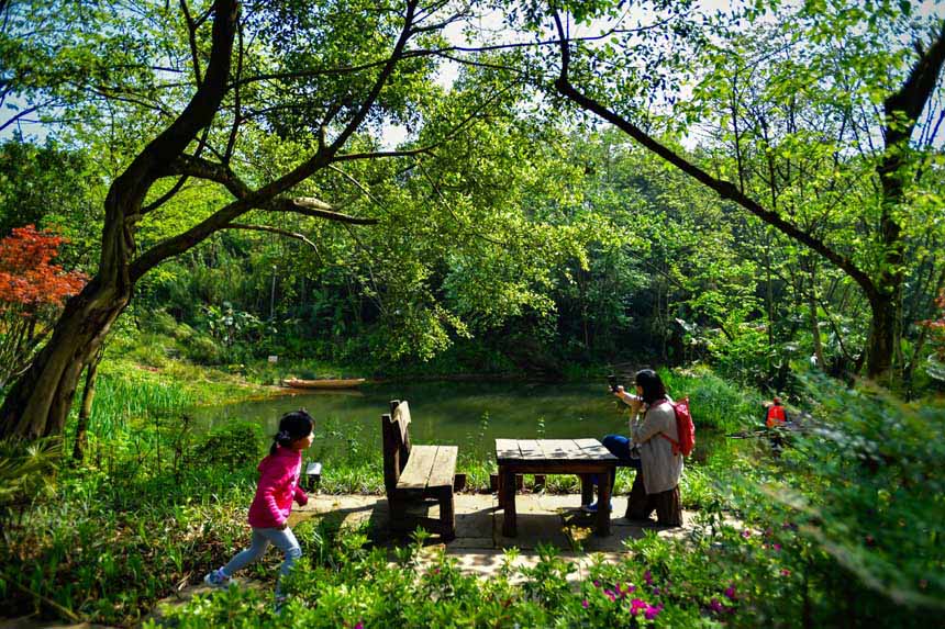 ՏVꖍuӳr̼tľGɫ֮Õr޾ӡz