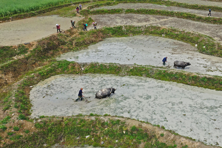 46ؑcˮͩlɳڸwz