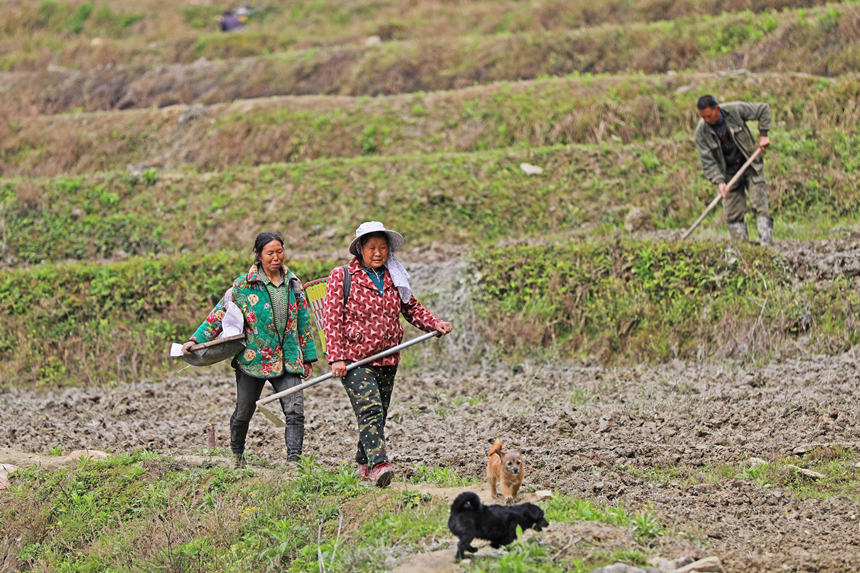 46ؑcˮͩlɳκrgO󷽱wz