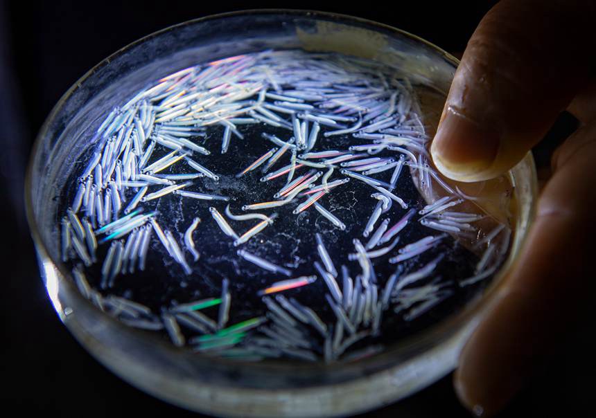 ֬~׃~һܵĕrgȽ܊z