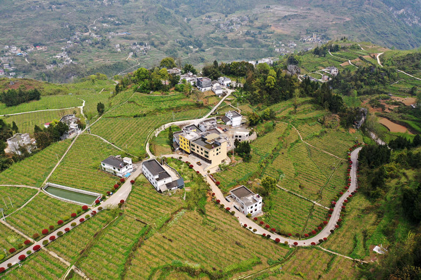 ؑcǭ^dȪFrI@JһصĮaI·z