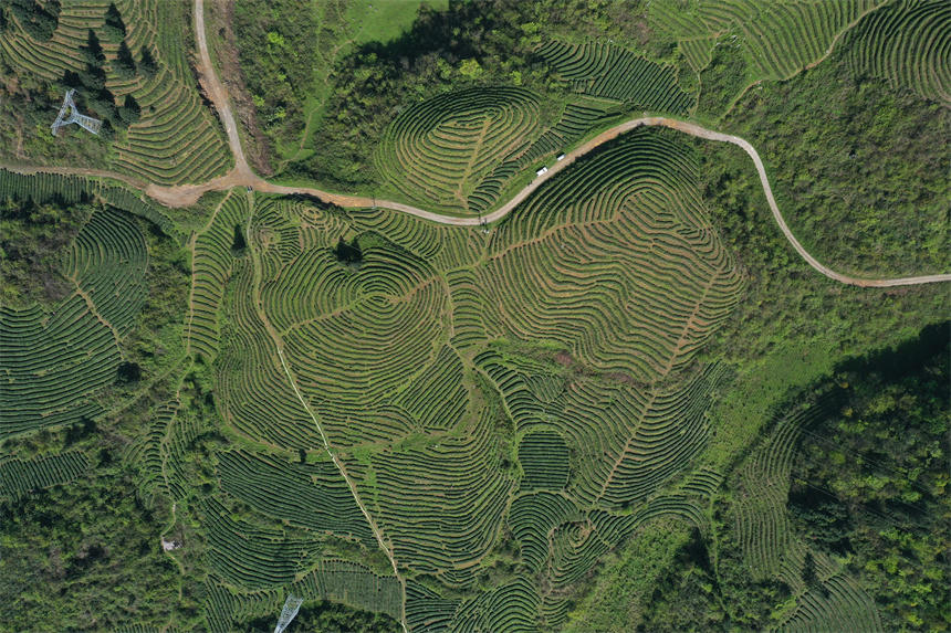 һ������ɽ�q��һ�������ڴ���ϡ�ָ�y�����Ȟ��������^���w�z