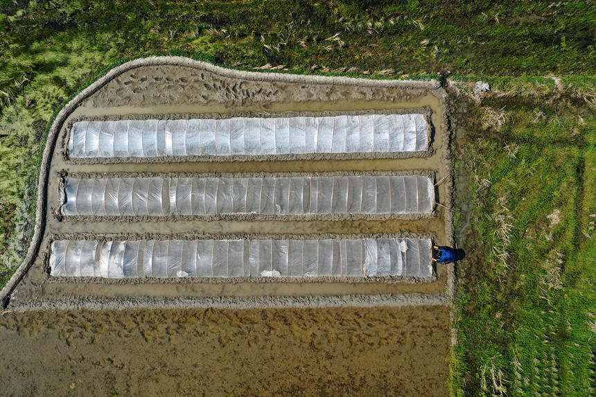 ؑcǭ^Rɼڹo紲z