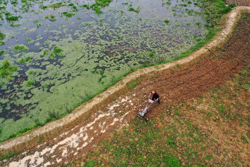 ؑcˮ悵׷Nֲ΢Cz