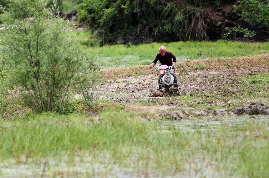 ؑcˮ悵׷Nֲ΢Cz