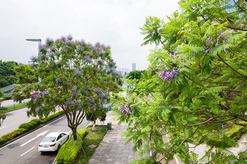 ؑcϰ^VꖞǄBͨ{ʢ_־z